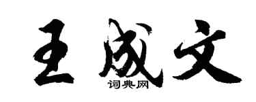 胡问遂王成文行书个性签名怎么写