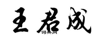 胡问遂王君成行书个性签名怎么写