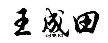 胡问遂王成田行书个性签名怎么写