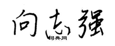 王正良向志强行书个性签名怎么写