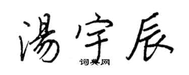 王正良汤宇辰行书个性签名怎么写