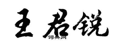 胡问遂王君锐行书个性签名怎么写