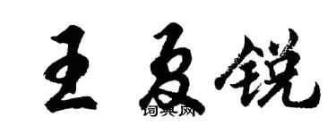 胡问遂王夏锐行书个性签名怎么写