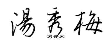 王正良汤秀梅行书个性签名怎么写