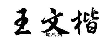 胡问遂王文楷行书个性签名怎么写