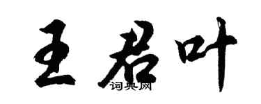 胡问遂王君叶行书个性签名怎么写