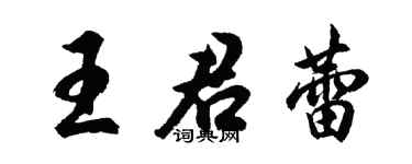 胡问遂王君蕾行书个性签名怎么写