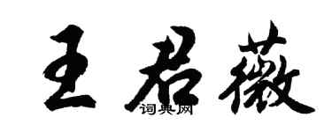 胡问遂王君薇行书个性签名怎么写