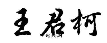 胡问遂王君柯行书个性签名怎么写