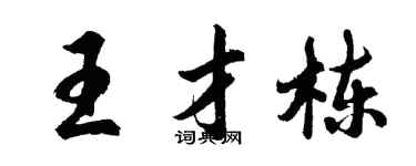 胡问遂王才栋行书个性签名怎么写