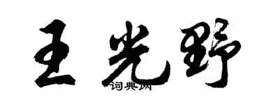 胡问遂王光野行书个性签名怎么写