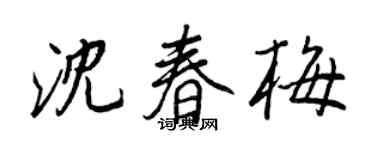 王正良沈春梅行书个性签名怎么写