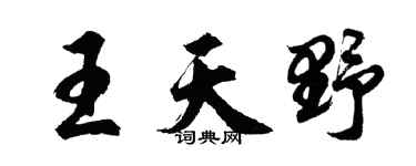 胡问遂王天野行书个性签名怎么写