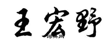 胡问遂王宏野行书个性签名怎么写