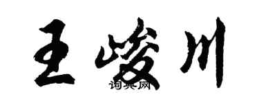 胡问遂王峻川行书个性签名怎么写