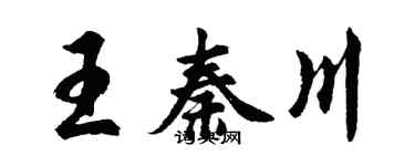 胡问遂王秦川行书个性签名怎么写