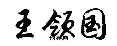 胡问遂王领国行书个性签名怎么写