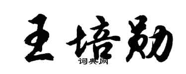 胡问遂王培勋行书个性签名怎么写