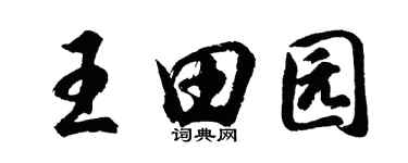 胡问遂王田园行书个性签名怎么写