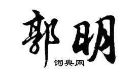 胡问遂郭明行书个性签名怎么写