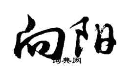 胡问遂向阳行书个性签名怎么写