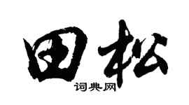 胡问遂田松行书个性签名怎么写