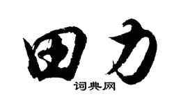 胡问遂田力行书个性签名怎么写