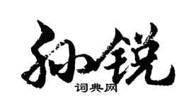 胡问遂孙锐行书个性签名怎么写