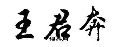 胡问遂王君奔行书个性签名怎么写