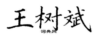 丁谦王树斌楷书个性签名怎么写