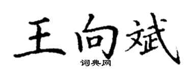 丁谦王向斌楷书个性签名怎么写