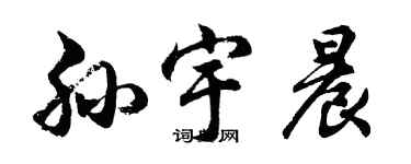 胡问遂孙宇晨行书个性签名怎么写