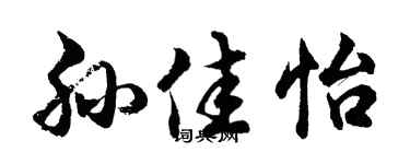 胡问遂孙佳怡行书个性签名怎么写