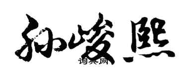 胡问遂孙峻熙行书个性签名怎么写