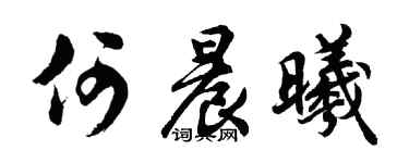 胡问遂何晨曦行书个性签名怎么写