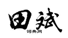 胡问遂田斌行书个性签名怎么写