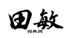 胡问遂田敏行书个性签名怎么写