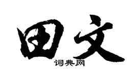 胡问遂田文行书个性签名怎么写