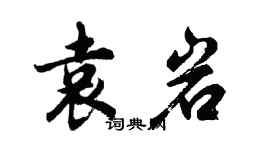 胡问遂袁岩行书个性签名怎么写