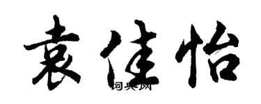 胡问遂袁佳怡行书个性签名怎么写