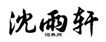 胡问遂沈雨轩行书个性签名怎么写