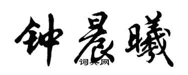 胡问遂钟晨曦行书个性签名怎么写