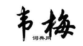 胡问遂韦梅行书个性签名怎么写