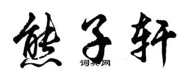 胡问遂熊子轩行书个性签名怎么写