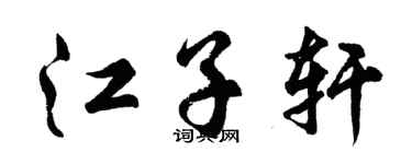 胡问遂江子轩行书个性签名怎么写