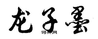 胡问遂龙子墨行书个性签名怎么写