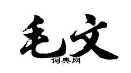 胡问遂毛文行书个性签名怎么写