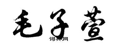 胡问遂毛子萱行书个性签名怎么写