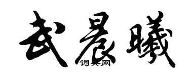 胡问遂武晨曦行书个性签名怎么写