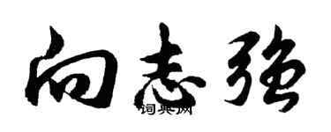 胡问遂向志强行书个性签名怎么写